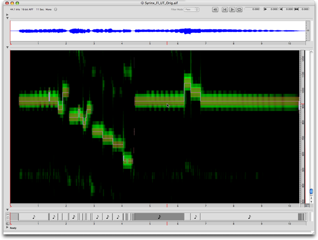 Annotations Midi quantifiées